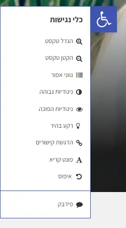 סרגל נגישות לדוגמה אתר שימארה